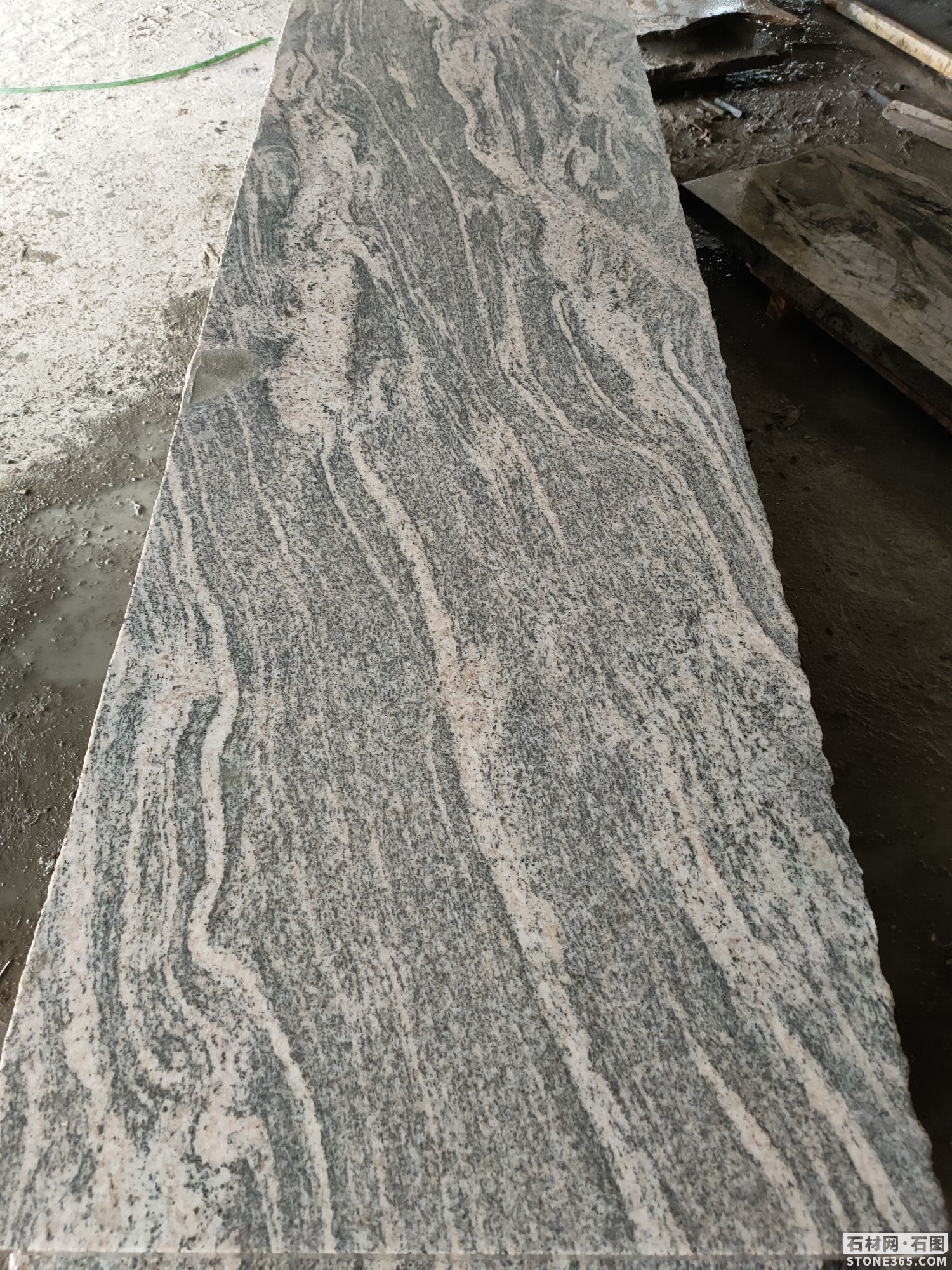 廣西賀州芝麻黑- - 365石材網(wǎng)